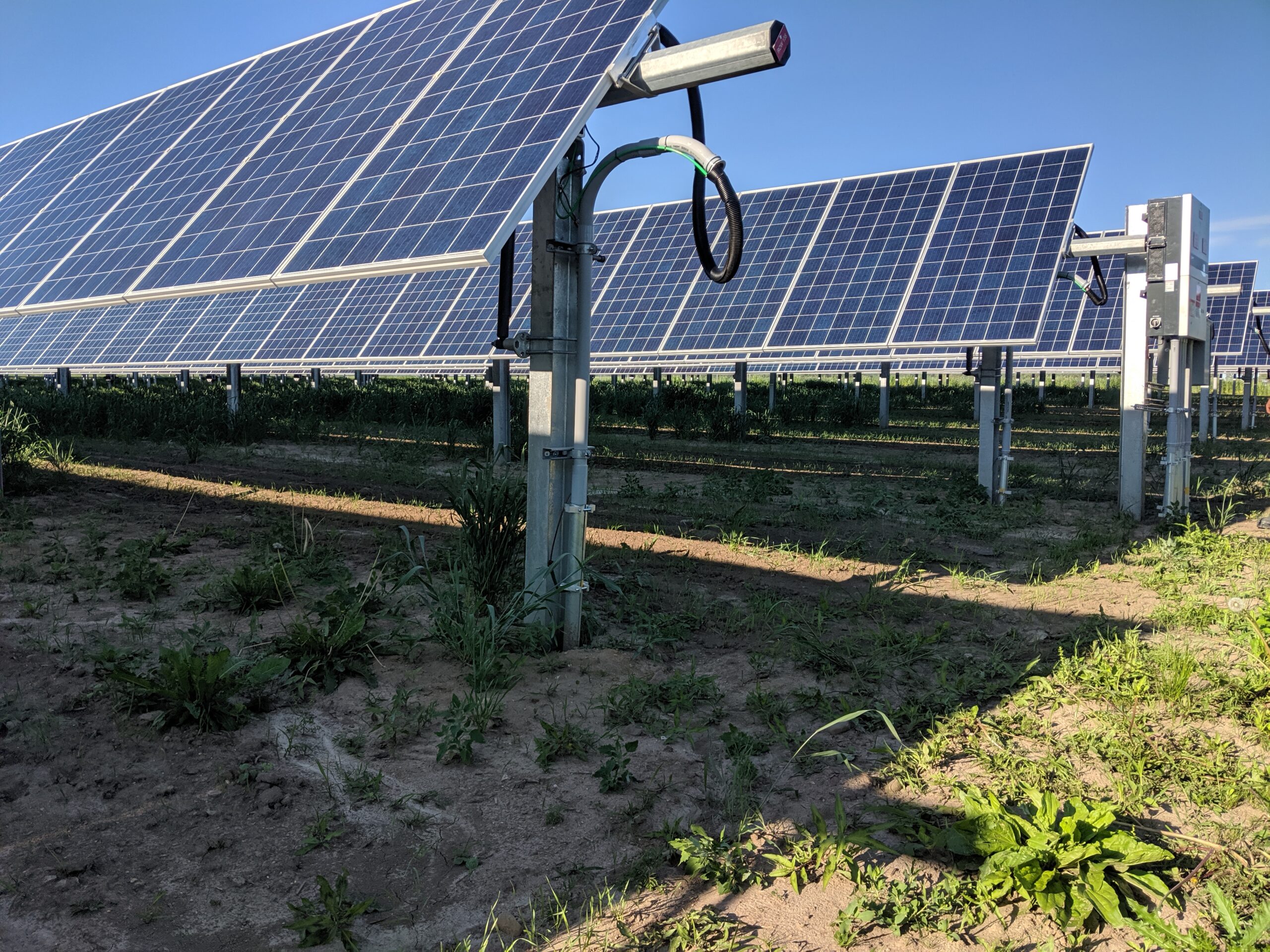 Dodge 2 Minnesota Syncarpha Capital community solar project