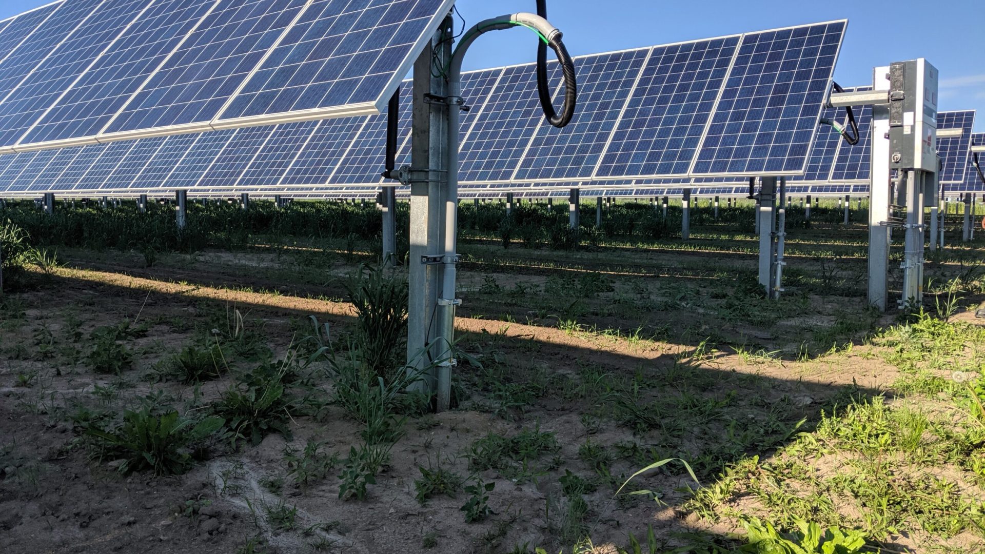 Dodge 2 Minnesota Syncarpha Capital community solar project